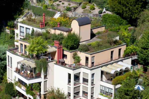 Groene daken bedrijven